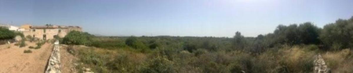 Picture of Residential Land For Sale in Muro, Mallorca, Spain