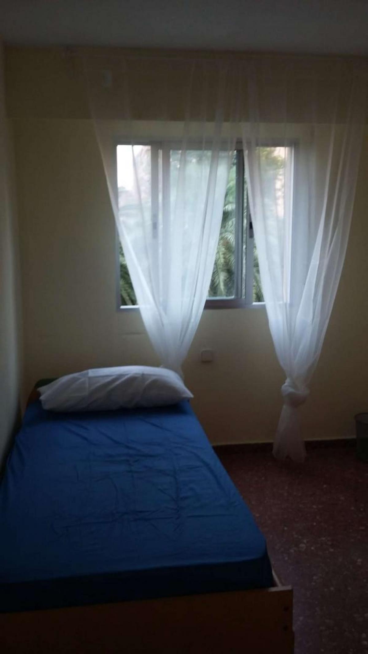 Picture of Apartment For Rent in Valencia, Valencia, Spain