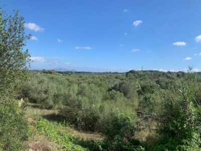 Residential Land For Sale in Muro, Spain