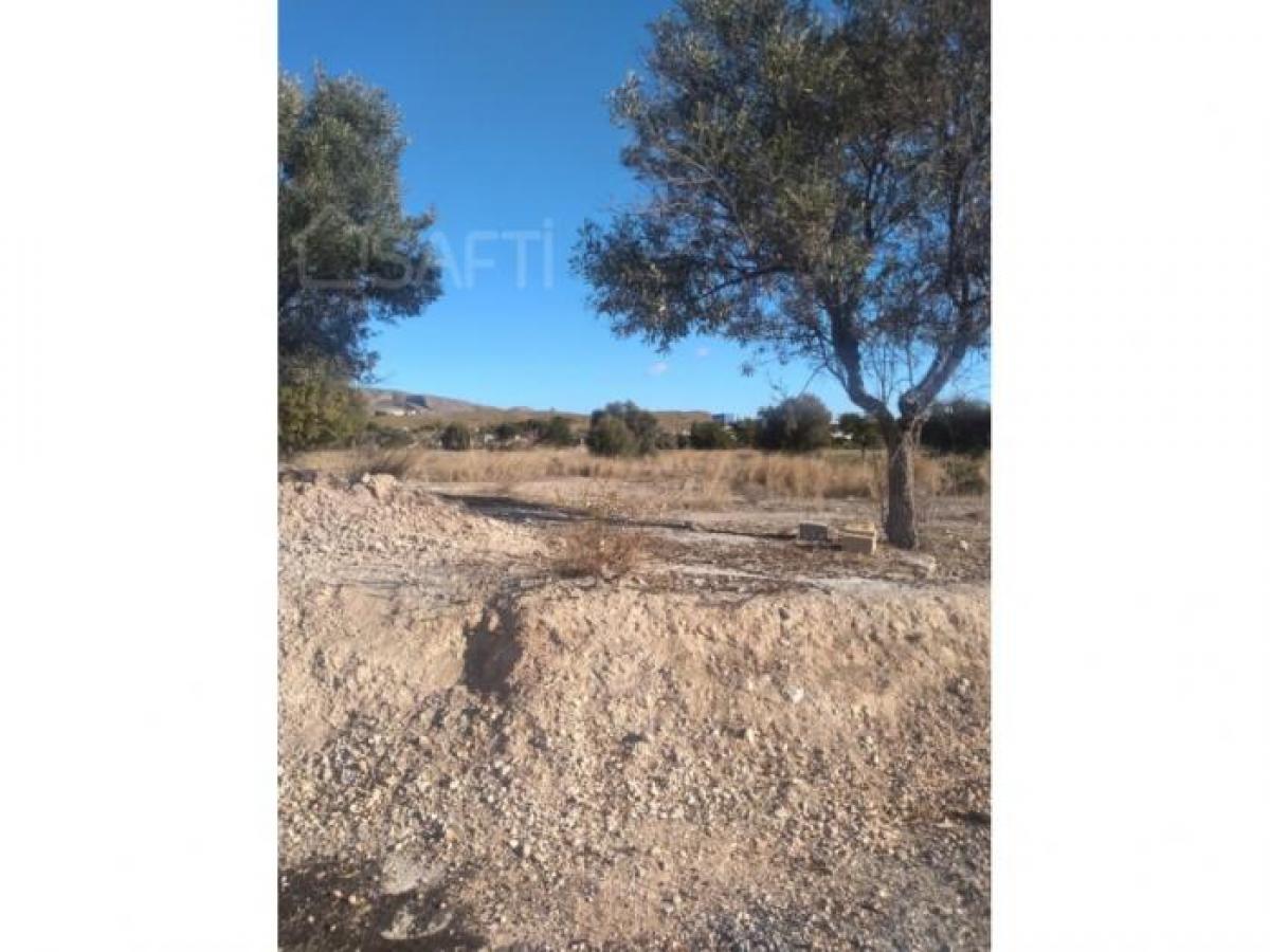 Picture of Residential Land For Sale in Villajoyosa, Alicante, Spain