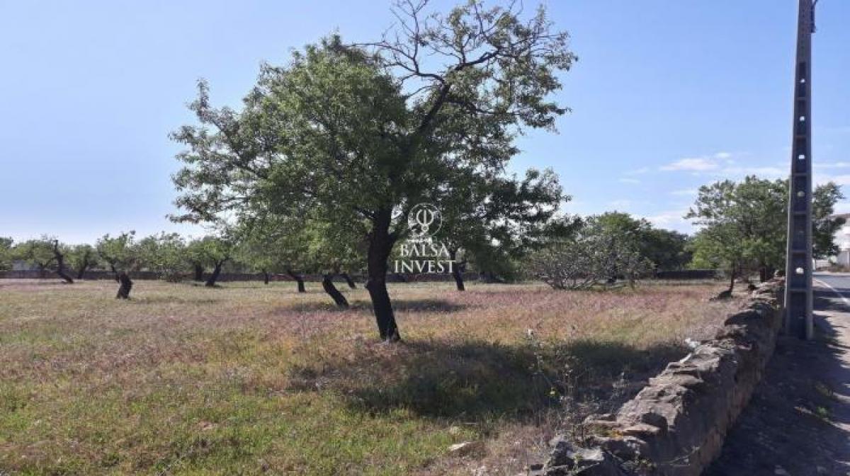 Picture of Residential Land For Sale in Faro, Algarve, Portugal