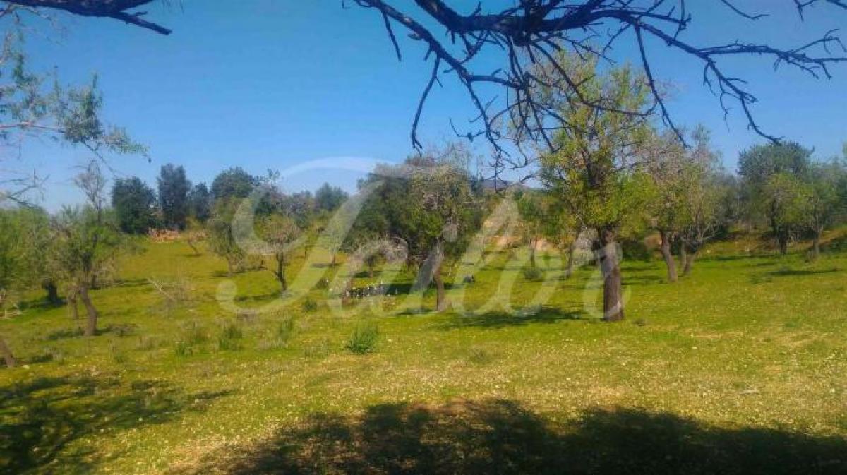 Picture of Residential Land For Sale in Faro, Algarve, Portugal