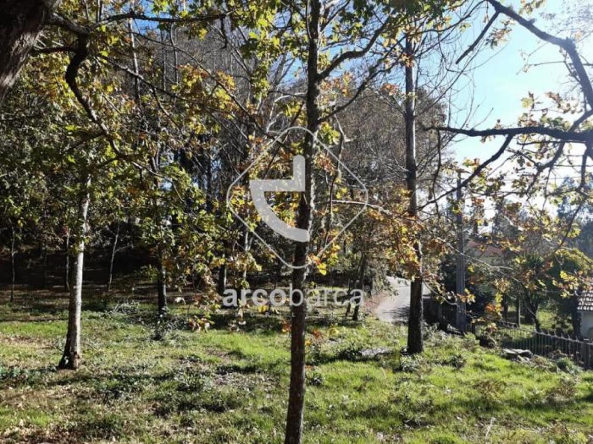 Picture of Residential Land For Sale in Paredes De Coura, Rethymnon, Portugal