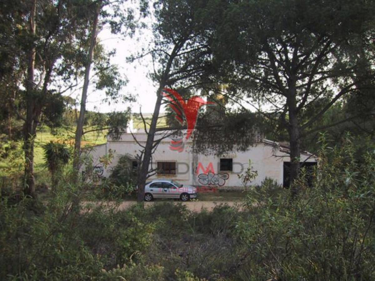 Picture of Residential Land For Sale in Faro, Algarve, Portugal