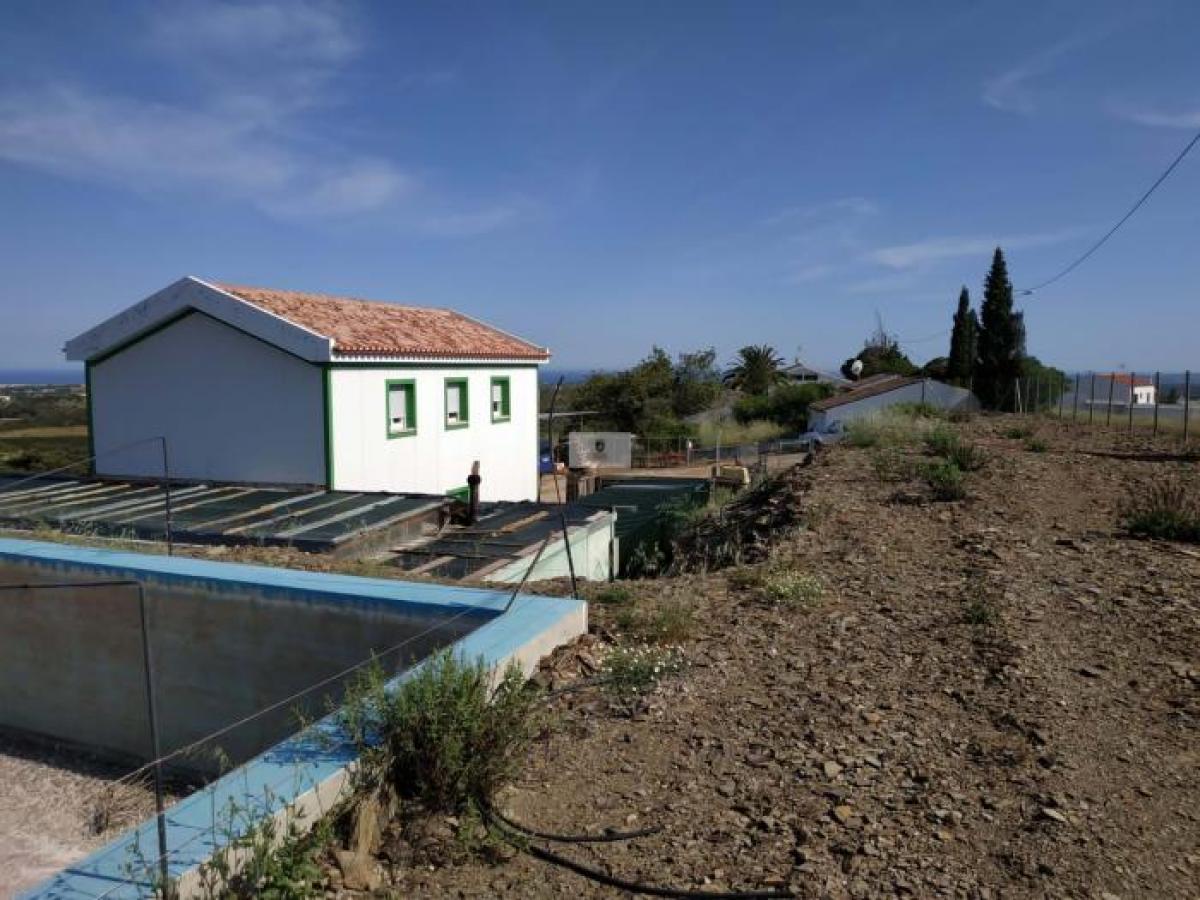 Picture of Home For Sale in Tavira, Algarve, Portugal