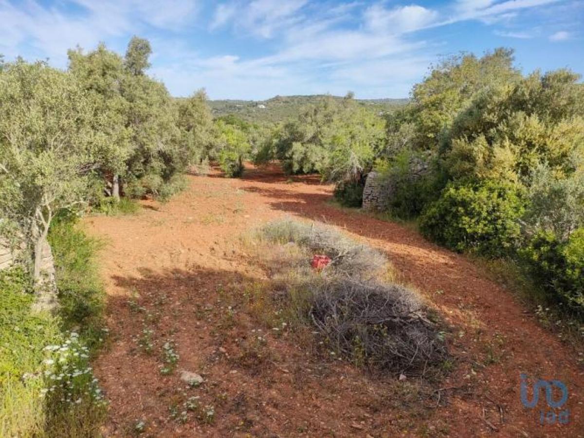 Picture of Residential Land For Sale in Faro, Algarve, Portugal