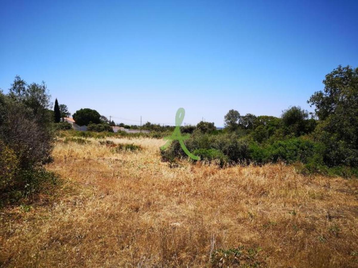 Picture of Residential Land For Sale in Faro, Algarve, Portugal