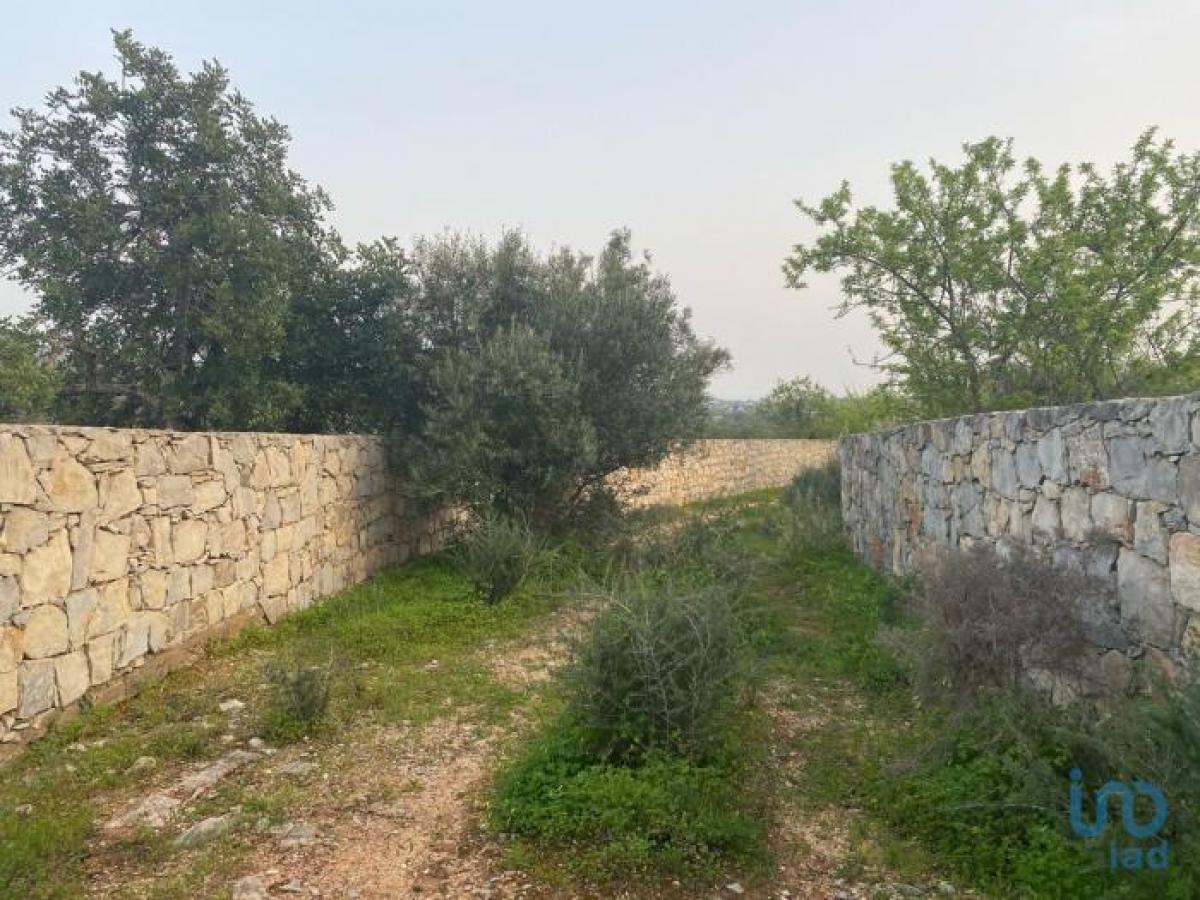 Picture of Residential Land For Sale in Olhao, Faro, Portugal