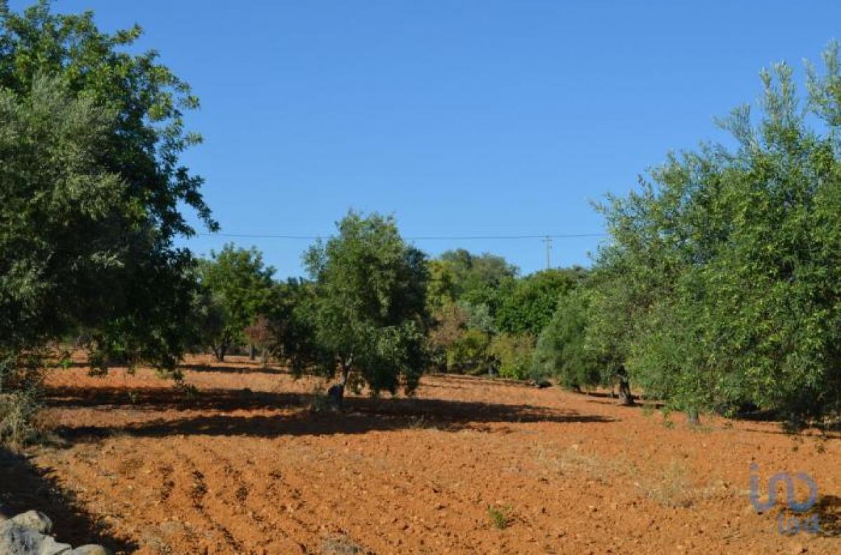 Picture of Residential Land For Sale in Faro, Algarve, Portugal