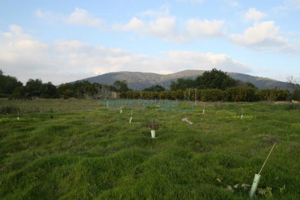 Picture of Residential Land For Sale in Faro, Algarve, Portugal