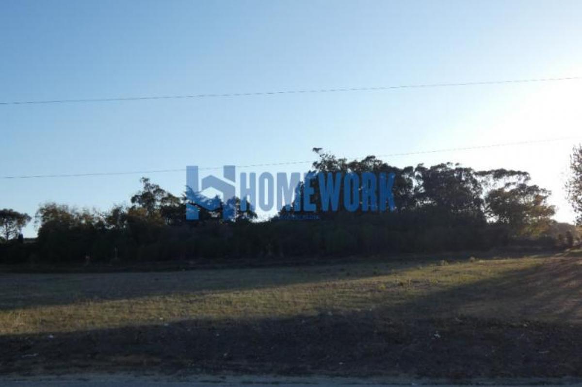 Picture of Residential Land For Sale in Sintra, Estremadura, Portugal