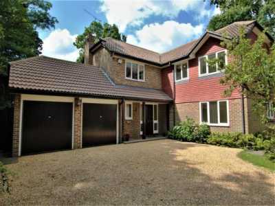 Home For Rent in Woking, United Kingdom