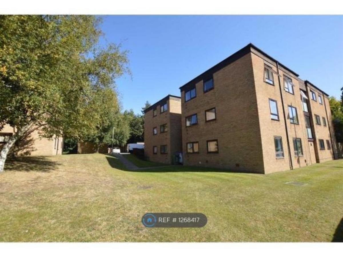 Picture of Apartment For Rent in Watford, Hertfordshire, United Kingdom