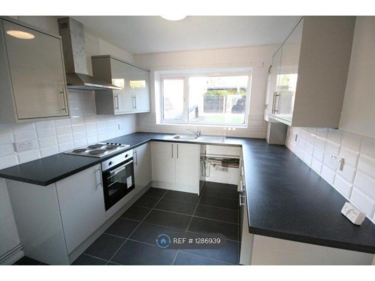 Picture of Apartment For Rent in Colchester, Essex, United Kingdom