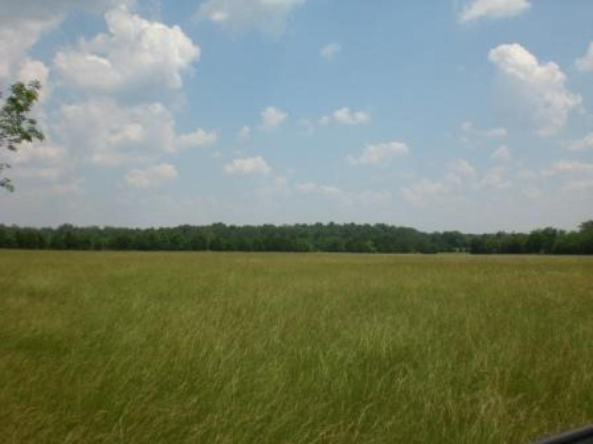 Picture of Raw Land For Sale in Lewisburg, Tennessee, United States