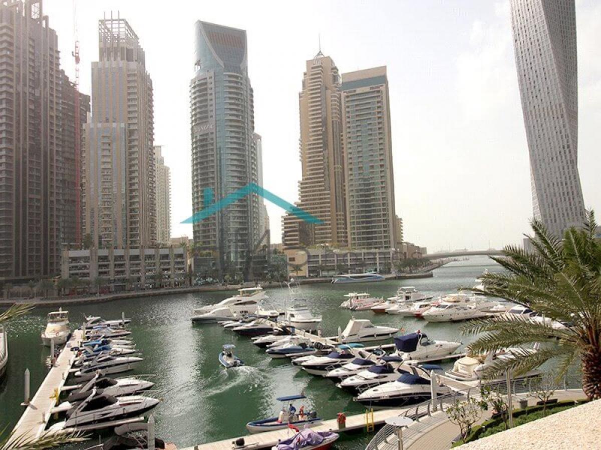 Picture of Villa For Rent in Dubai Marina, Dubai, United Arab Emirates