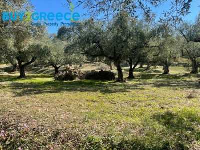 Residential Land For Sale in 