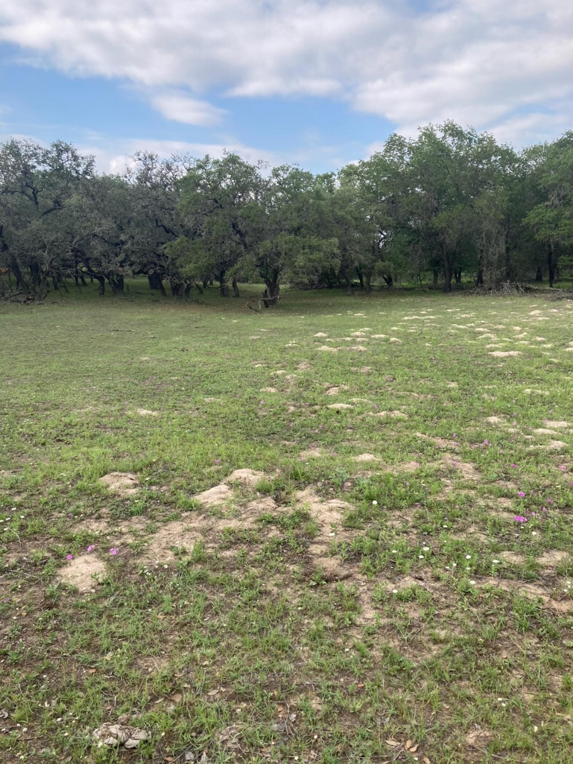 Picture of Mixed-Use Land For Sale in Von Ormy, Texas, United States