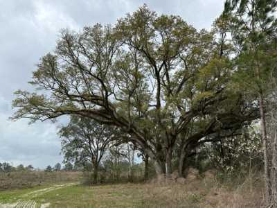 Residential Land For Sale in Defuniak Springs, Florida