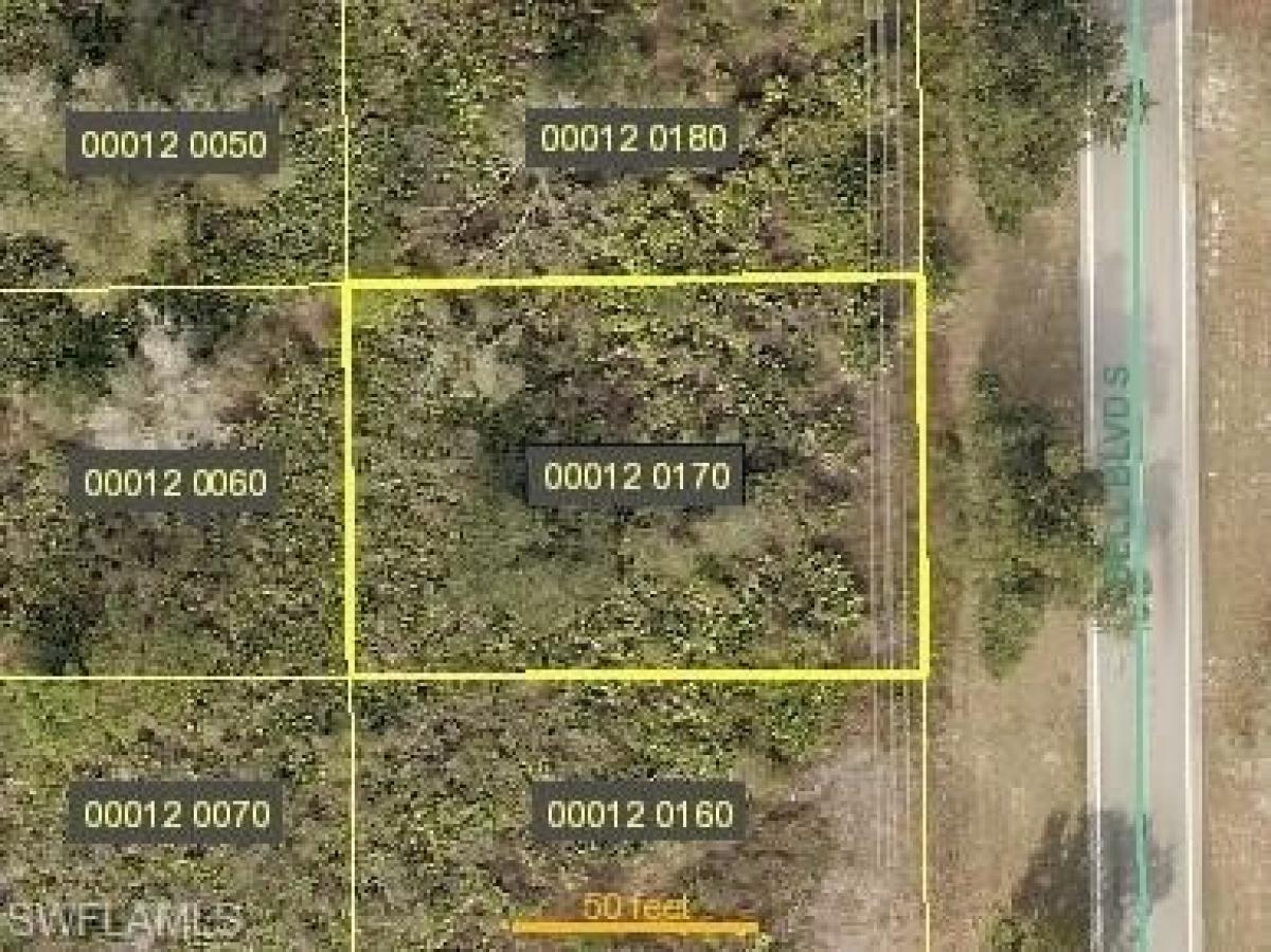 Picture of Residential Land For Sale in Lehigh Acres, Florida, United States