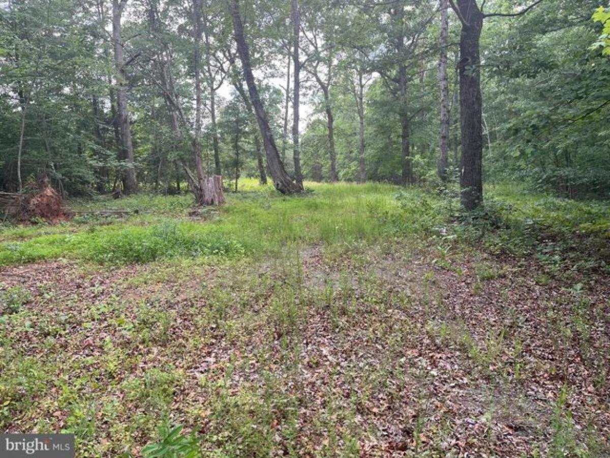 Picture of Residential Land For Sale in Gordonsville, Virginia, United States