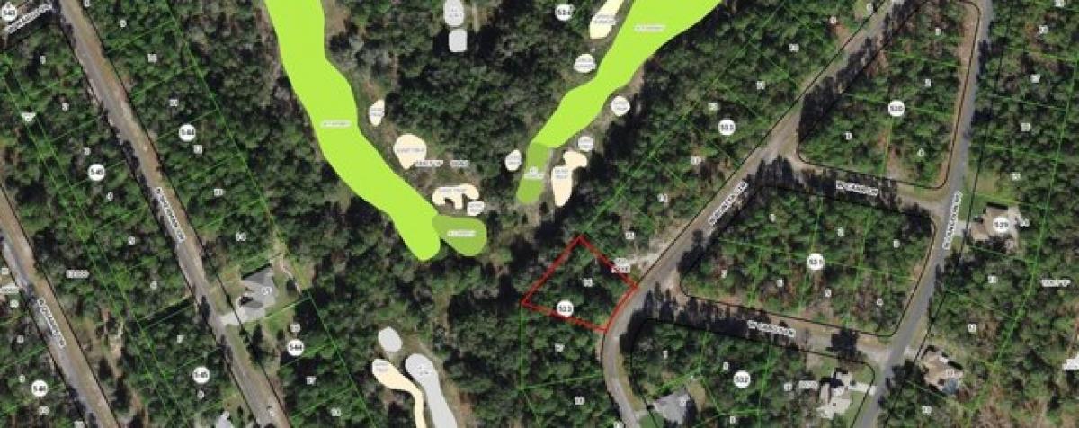 Picture of Residential Land For Sale in Citrus Springs, Florida, United States