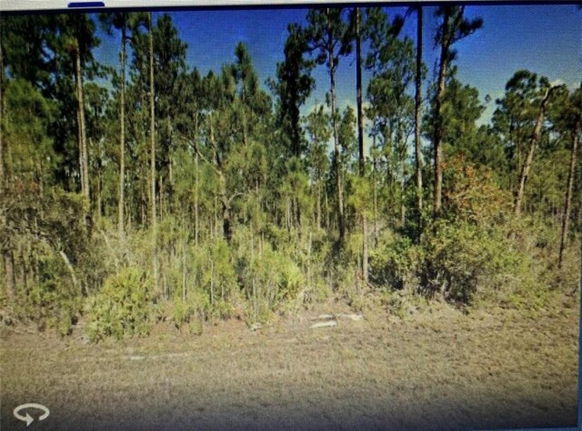 Picture of Residential Land For Sale in Indian Lake Estates, Florida, United States