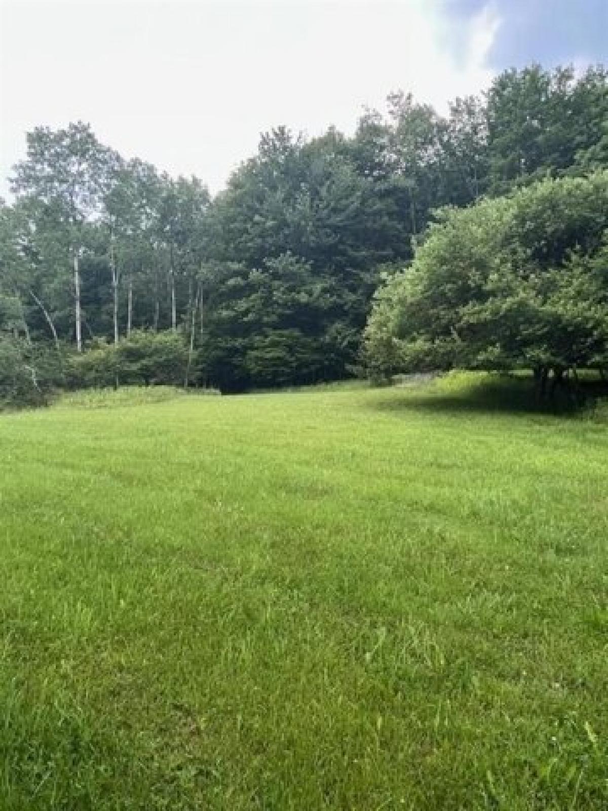 Picture of Residential Land For Sale in Walton, New York, United States