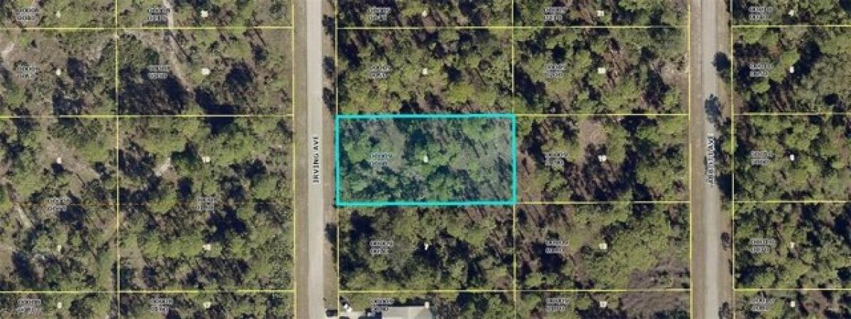 Picture of Residential Land For Sale in Lehigh Acres, Florida, United States