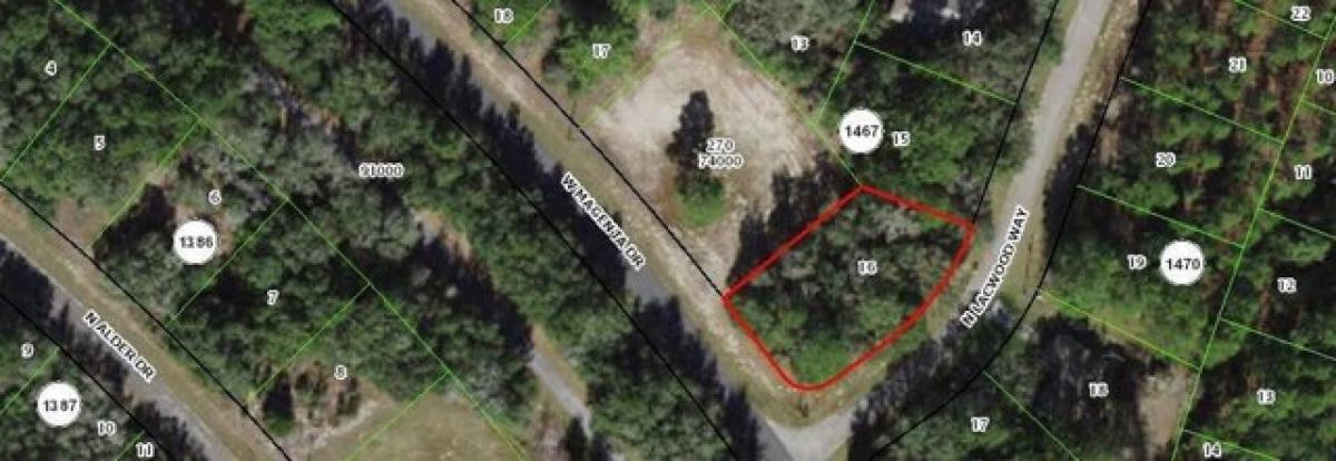 Picture of Residential Land For Sale in Citrus Springs, Florida, United States