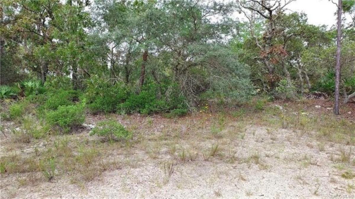 Picture of Residential Land For Sale in Citrus Springs, Florida, United States