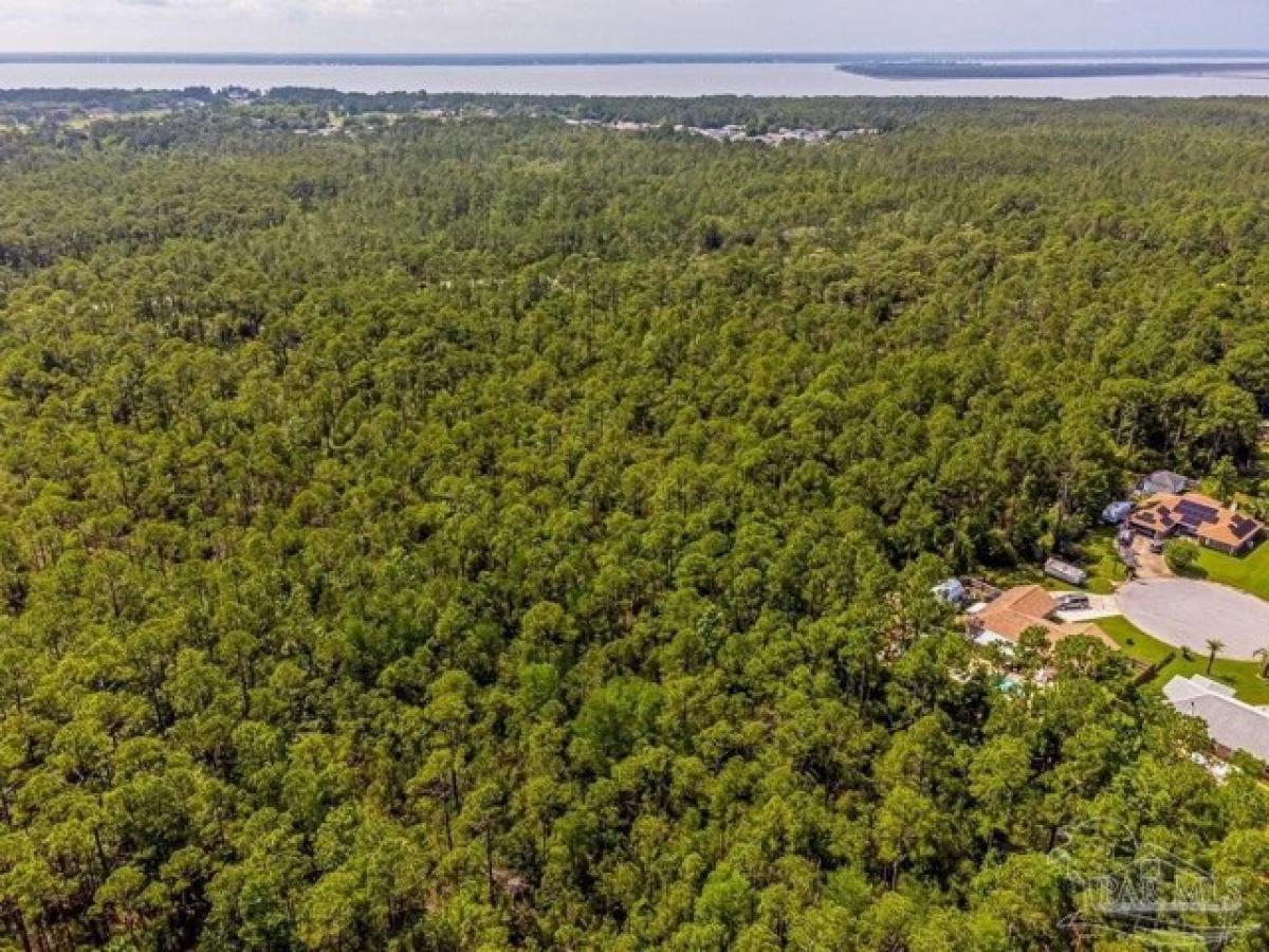 Picture of Residential Land For Sale in Pensacola, Florida, United States