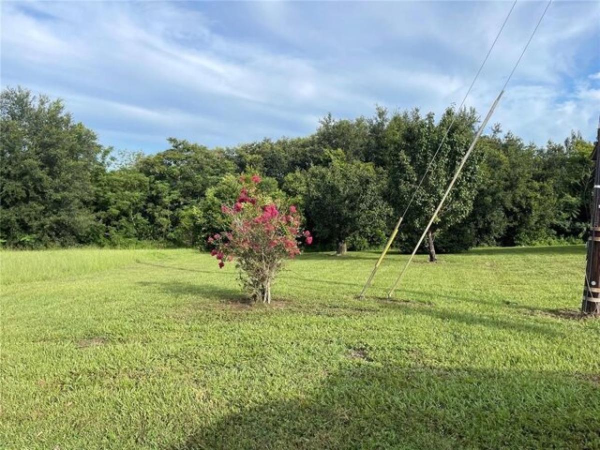 Picture of Residential Land For Sale in Haines City, Florida, United States