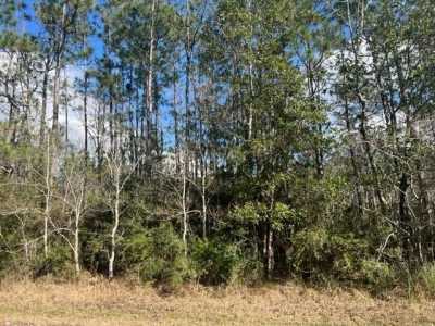 Residential Land For Sale in Milton, Florida