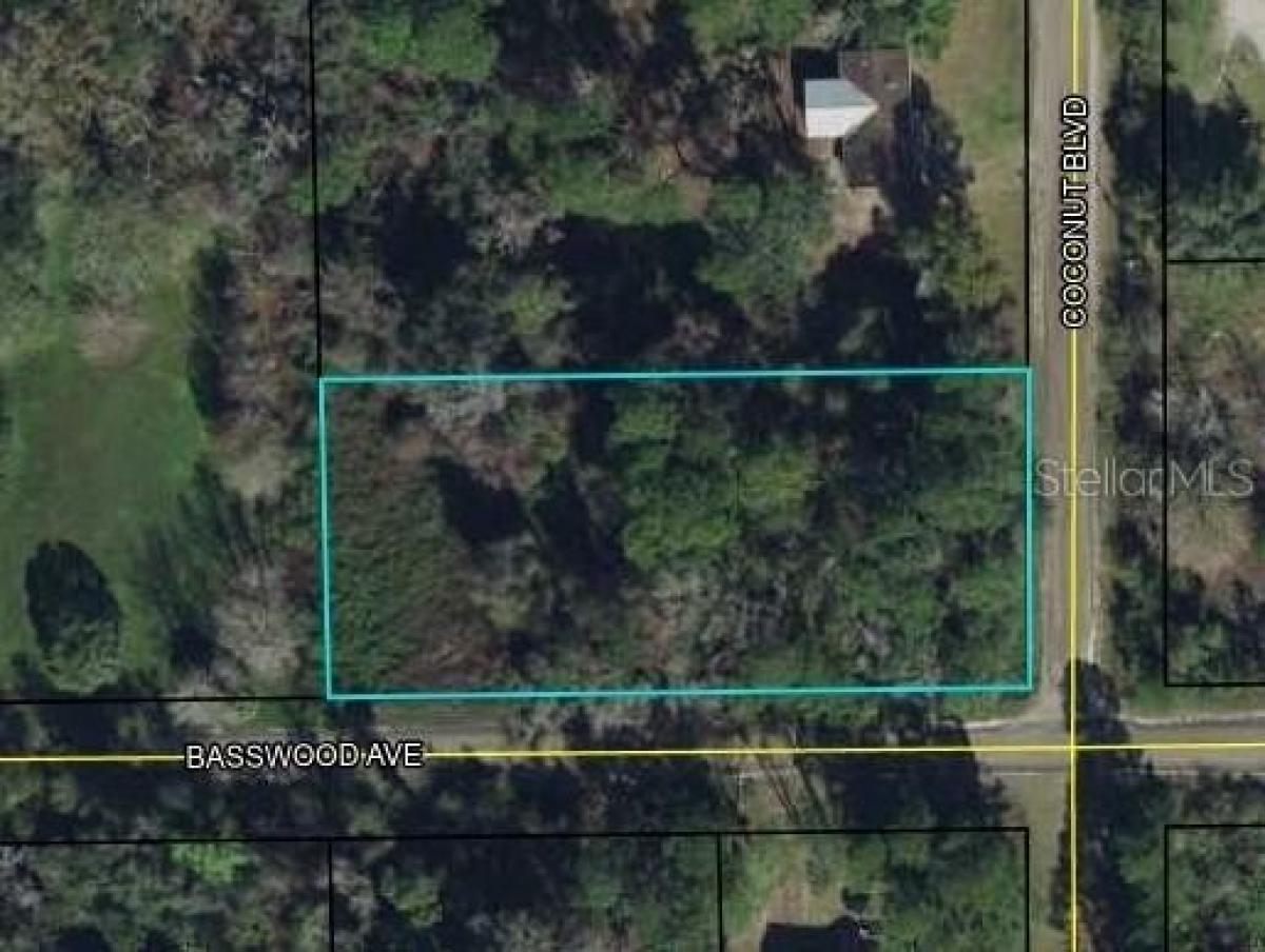 Picture of Residential Land For Sale in Bunnell, Florida, United States