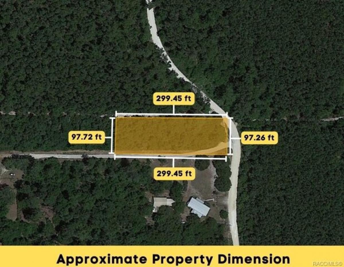 Picture of Residential Land For Sale in Fort Mccoy, Florida, United States