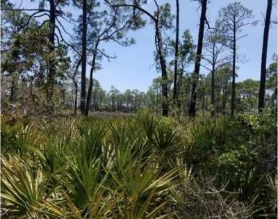 Residential Land For Sale in Cedar Key, Florida