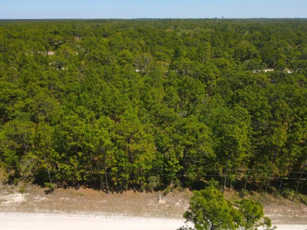 Picture of Residential Land For Sale in Brooksville, Florida, United States