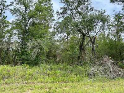 Residential Land For Sale in Citrus Springs, Florida