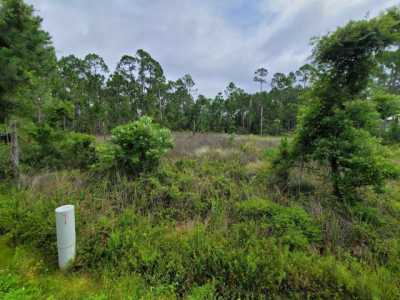 Residential Land For Sale in Panacea, Florida