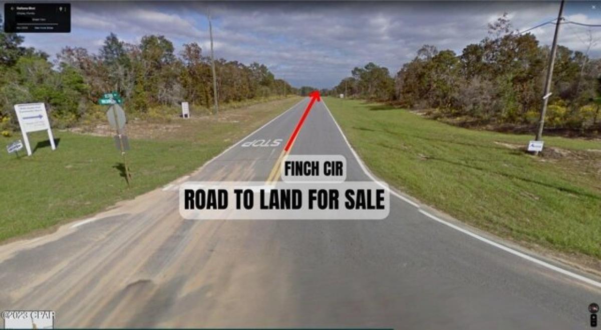 Picture of Residential Land For Sale in Chipley, Florida, United States