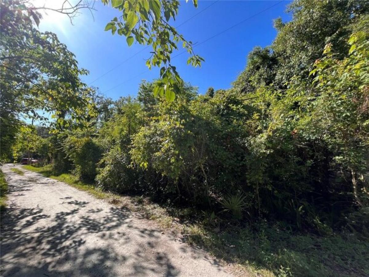 Picture of Residential Land For Sale in New Port Richey, Florida, United States