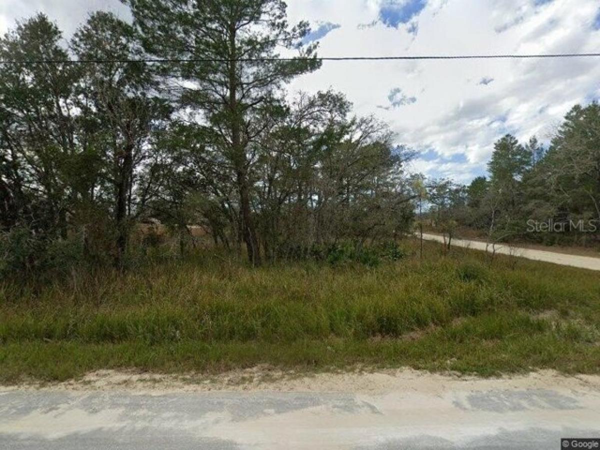 Picture of Residential Land For Sale in Weeki Wachee, Florida, United States