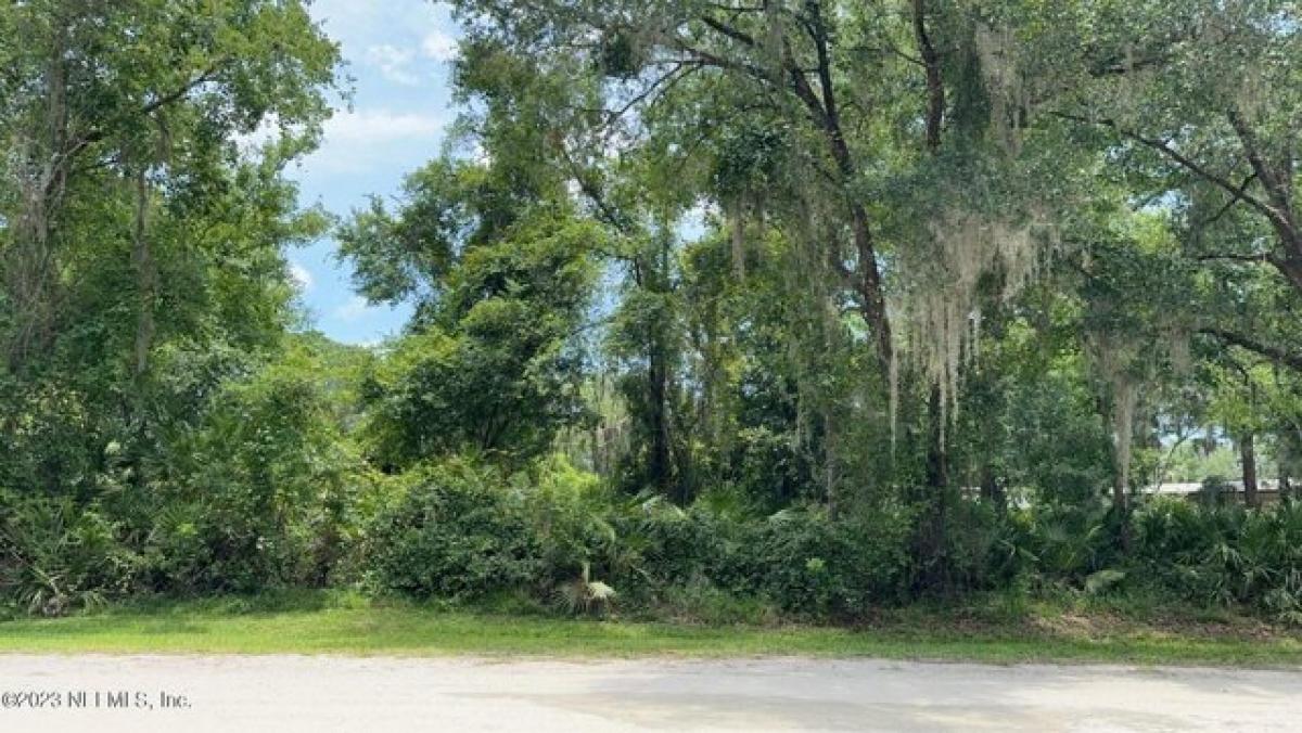 Picture of Residential Land For Sale in Satsuma, Florida, United States