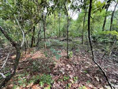 Residential Land For Sale in Sopchoppy, Florida