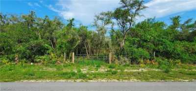 Residential Land For Sale in Webster, Florida