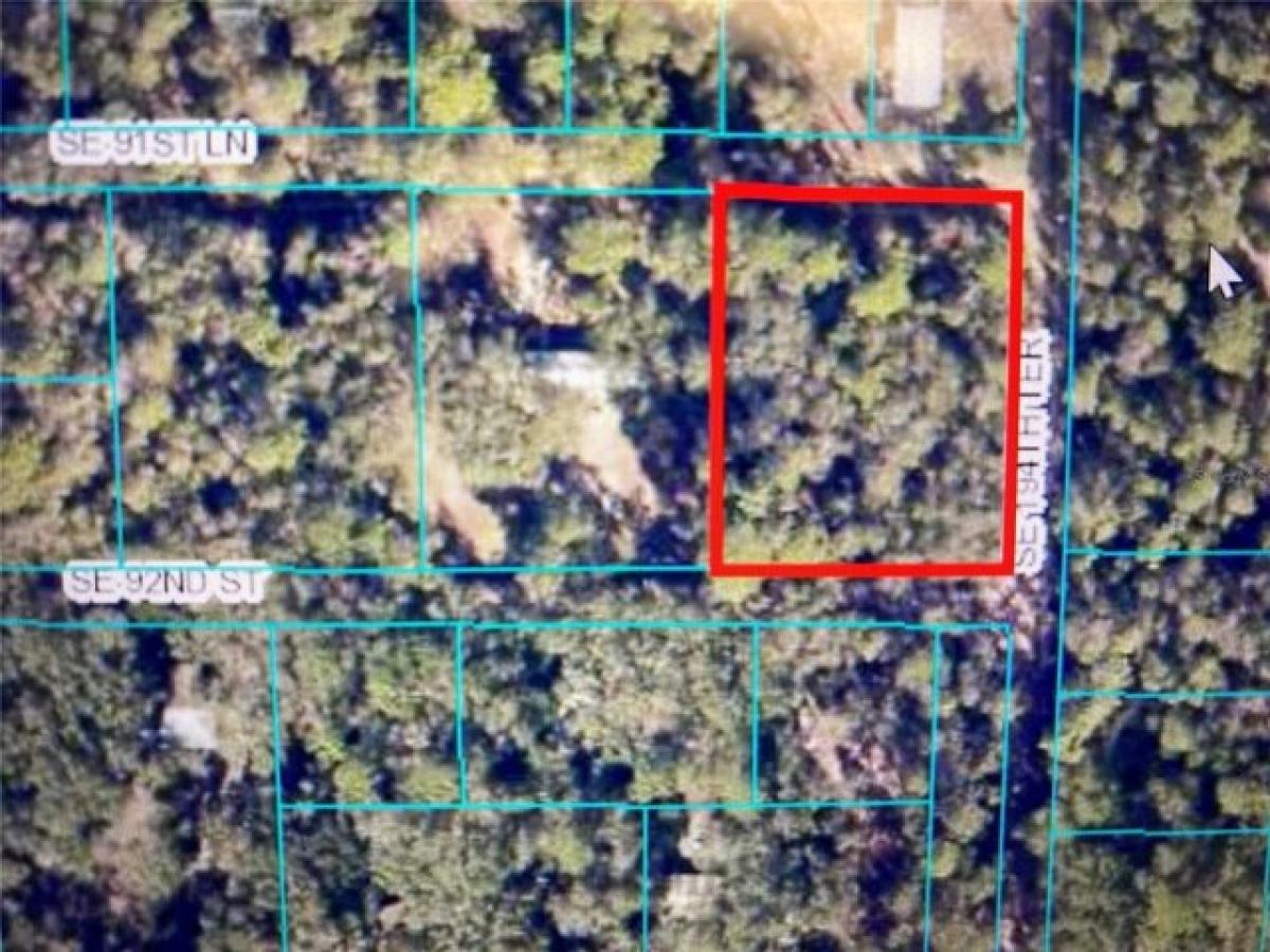 Picture of Residential Land For Sale in Ocklawaha, Florida, United States