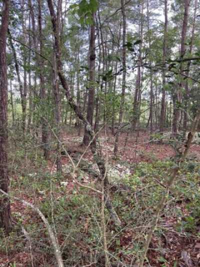 Residential Land For Sale in Defuniak Springs, Florida