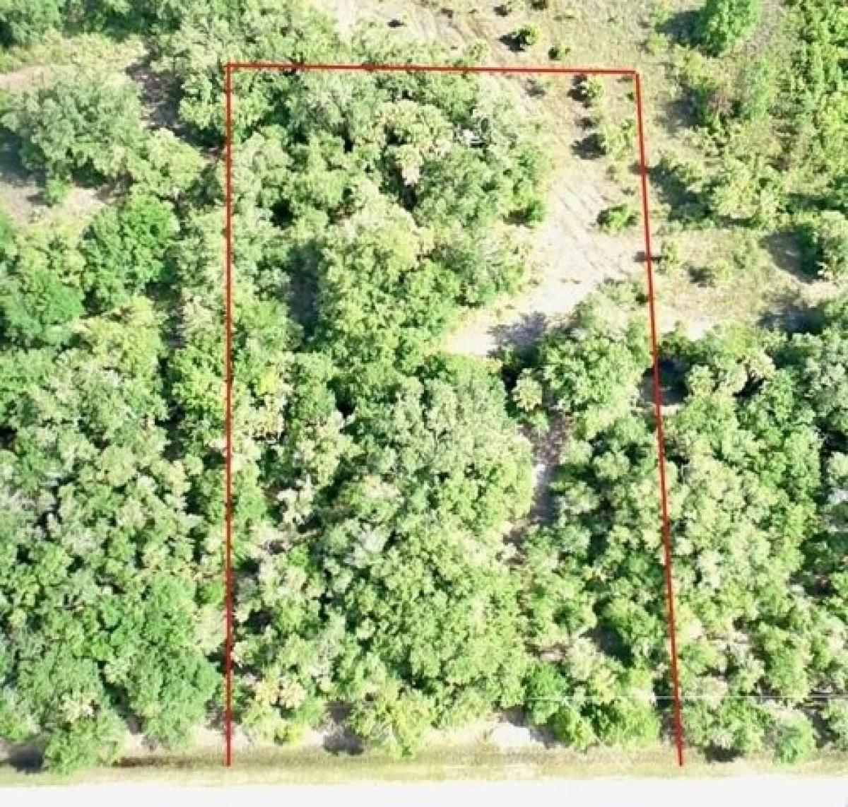 Picture of Residential Land For Sale in Okeechobee, Florida, United States