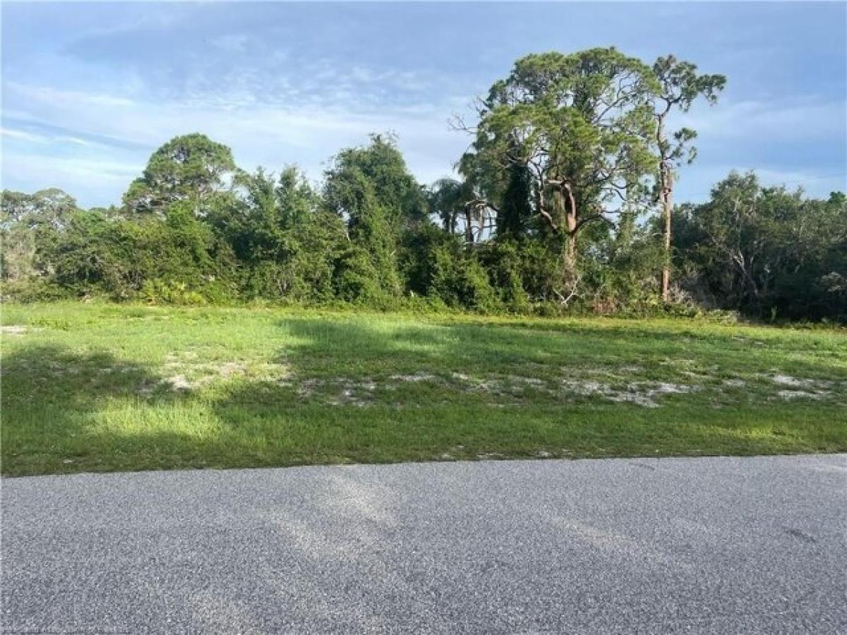 Picture of Residential Land For Sale in Lake Placid, Florida, United States